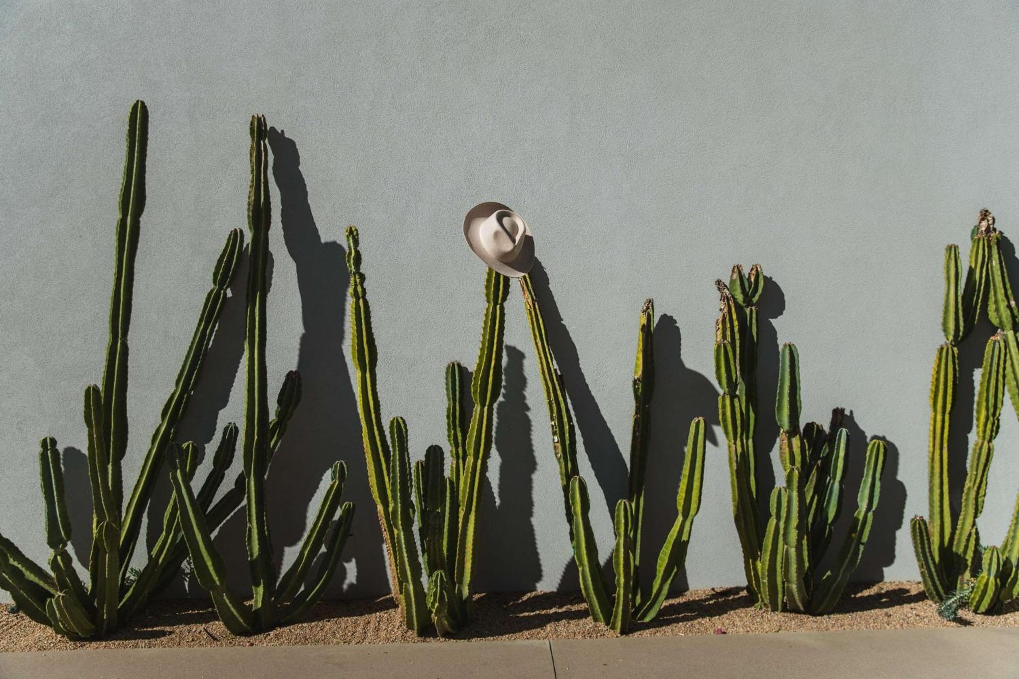 Andaz Scottsdale Resort & Bungalows Exterior photo